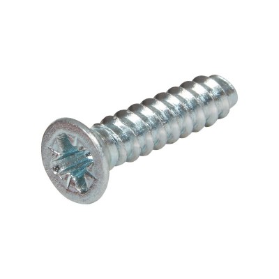 TREND WP-SCW/116 S/T SCREW 5.5MM X 19MM PAN POZI FOR