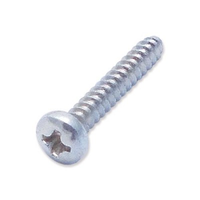 TREND WP-T10/018 SCREW S/TAPPING DOME 4MM X 25MM PHI