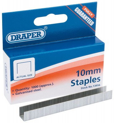 1000 X 10MM HEAVY DUTY STAPLES