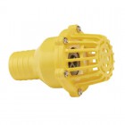 DRAPER Foot Valve Strainer 2\"-50mm