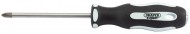 DRAPER Expert Cross Slot No:2 x 100mm Soft Grip Screwdrivers