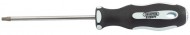 DRAPER Expert Soft Grip T20 x 100mm TX STAR® Screwdrivers