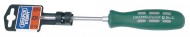 DRAPER EXPERT NO 2 X 100MM PZ TYPE MECHANICS SCREWDRIVER (DISPLAY PACKED)