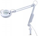 Main Halogen Lamps