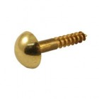 MIRROR SCREWS BRASS 8X1 1/2 P801-24