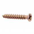 Hinge Screws