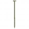 Wafer Head Screws